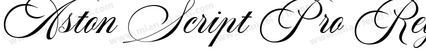 Aston Script Pro Reg字体转换